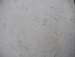 Ancaster Hard White (Limestone)